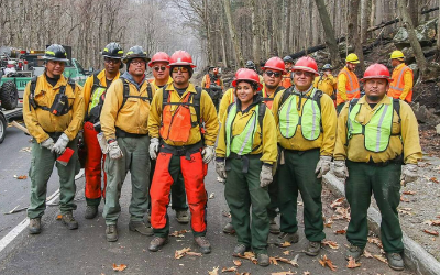 Image of Recovery Specialists 