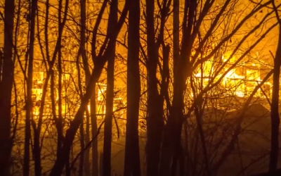 Image of Fire and Forestry Experts
